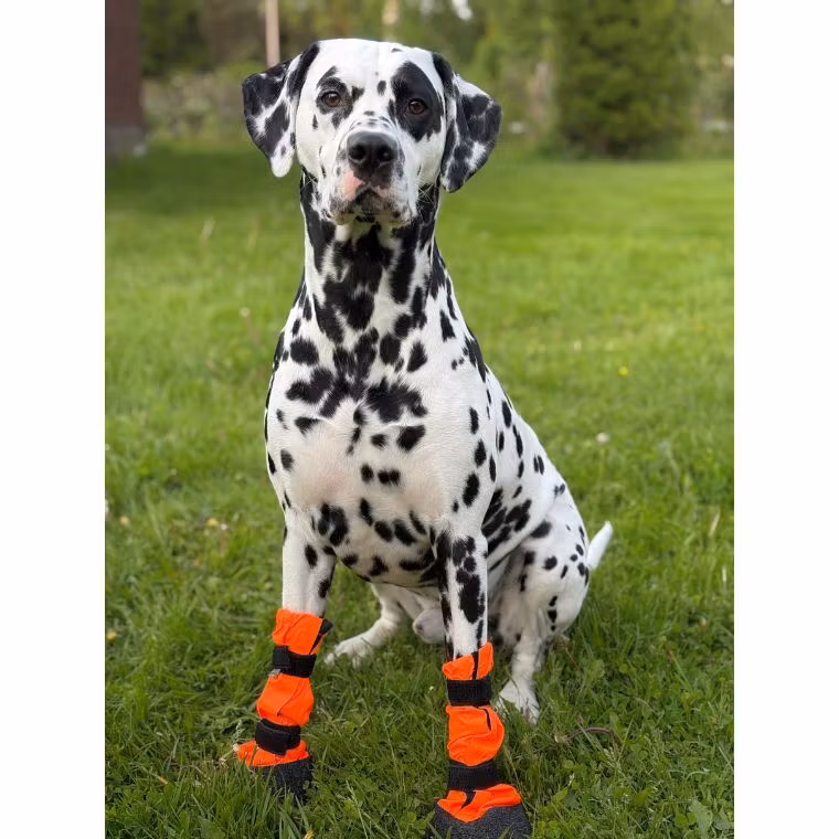 Finnero Sulo Beskyttelsessokk 2pk