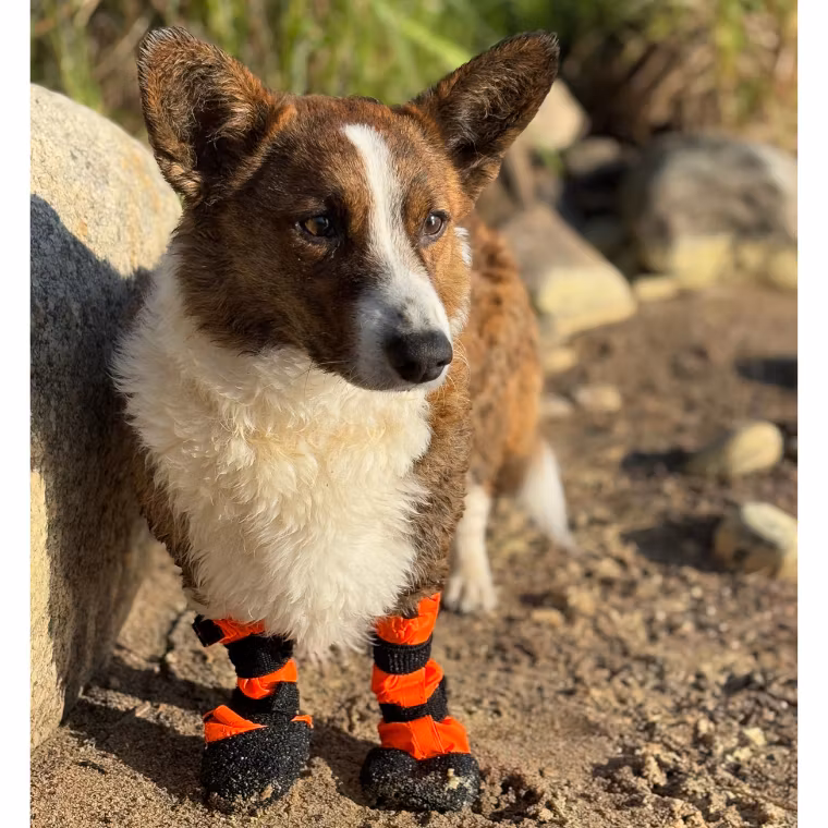 Finnero Sulo Beskyttelsessokk 2pk