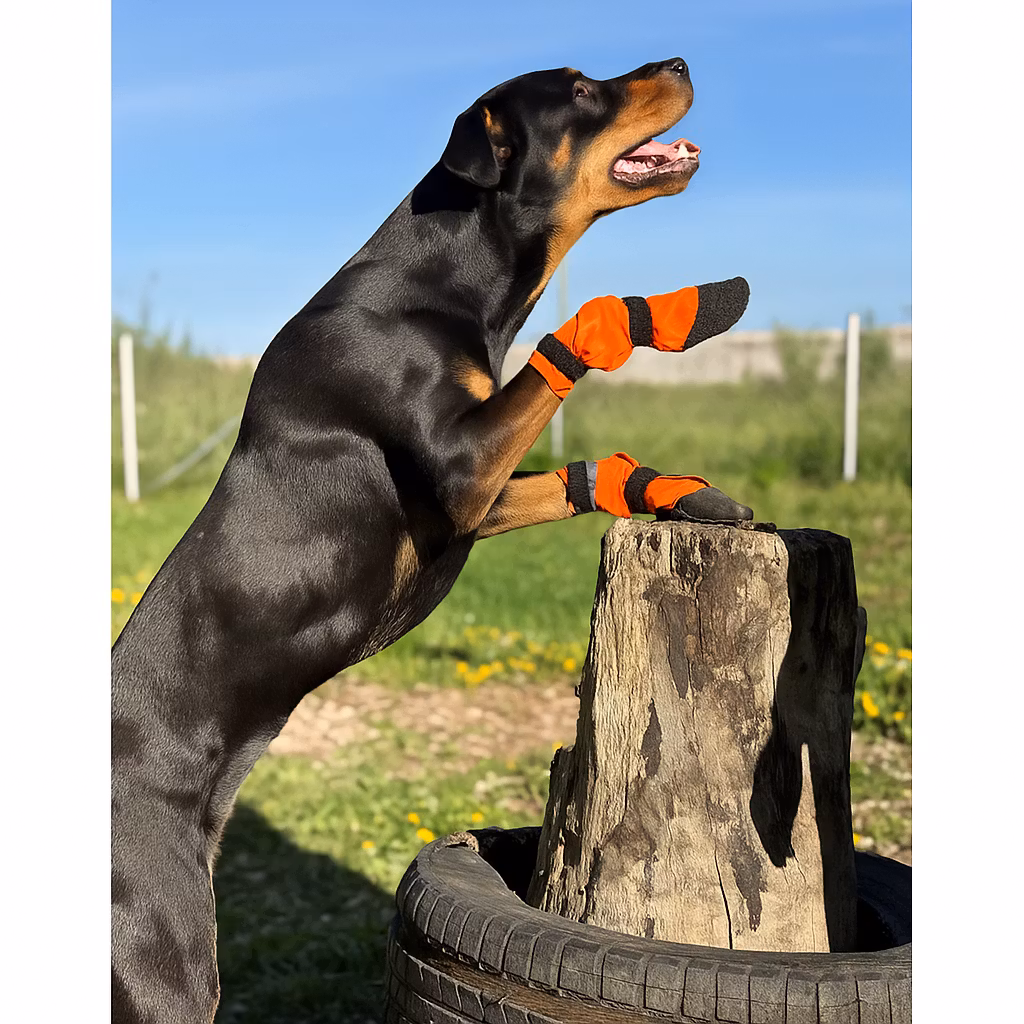 Finnero Sulo Beskyttelsessokk 2pk