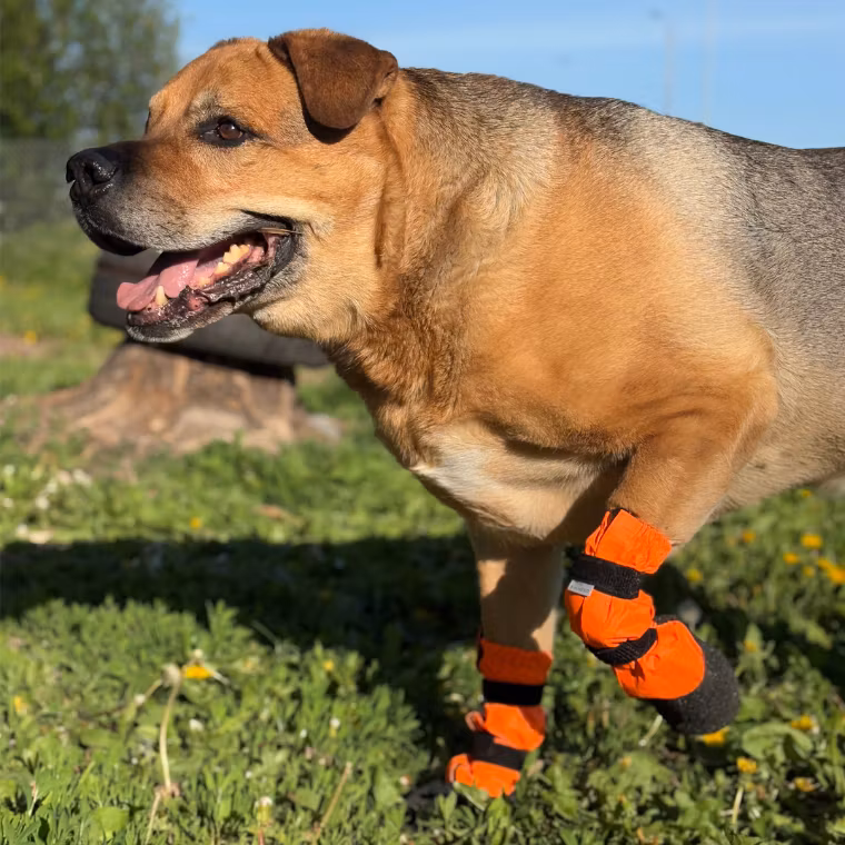 Finnero Sulo Beskyttelsessokk 2pk