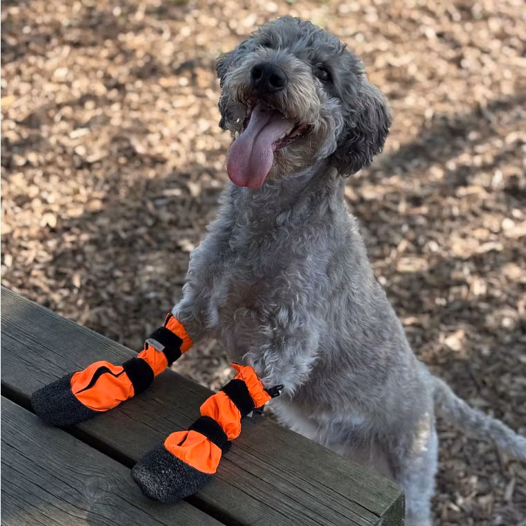 Finnero Sulo Beskyttelsessokk 2pk