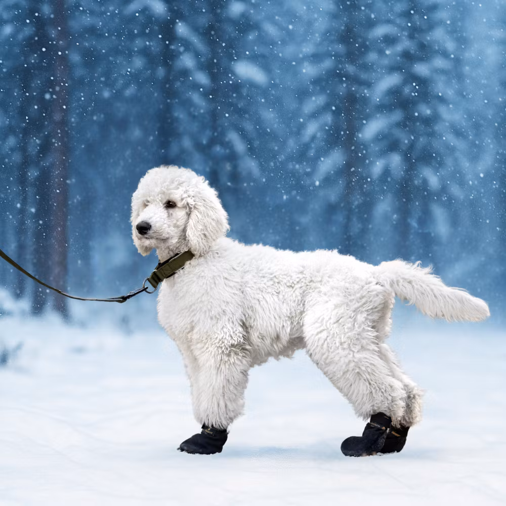 VIP Potesokk Arctic Protect 4-pk