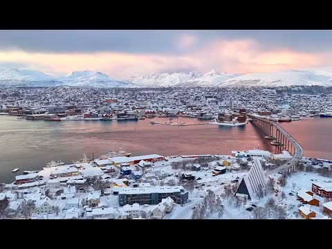 Alfreds  Dried Sashimi av Sei