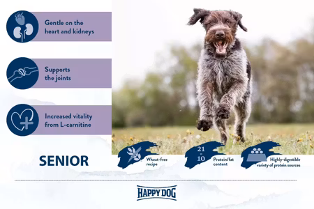 HD Fit & Vital Senior 12Kg - Happy Dog