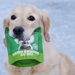 Alfreds  Dried Sashimi av Sei