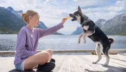 Alfreds Sprø Chips av Sei