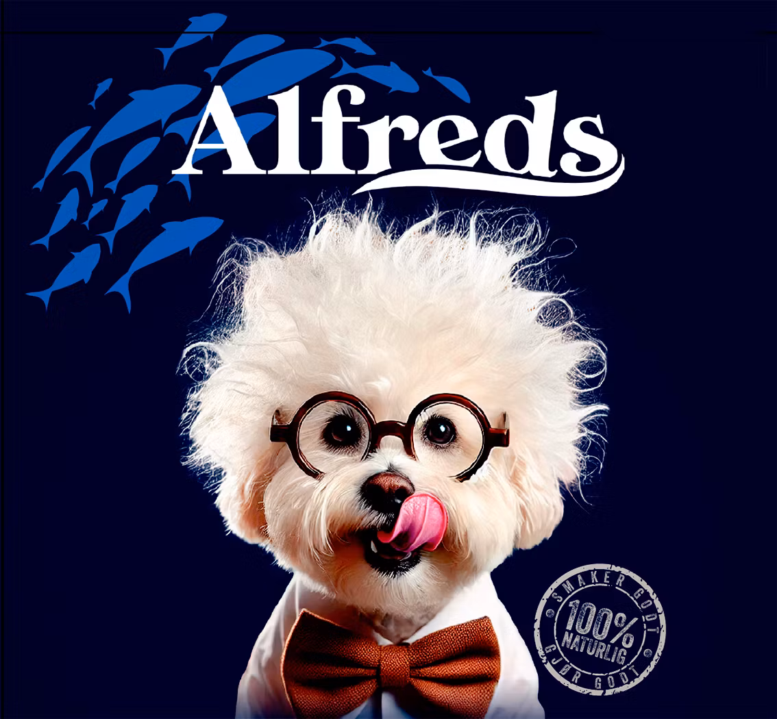 Alfreds Sprø Chips av Sei