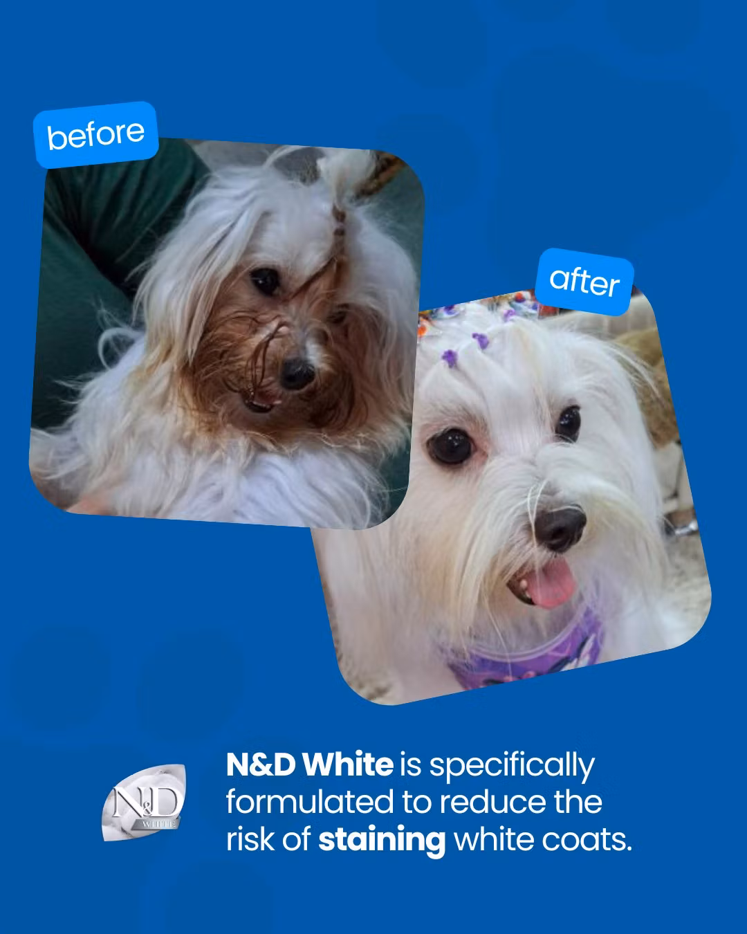 Farmina N&D Dog White Sea Bass, Spirulina & Fennel Adult Mini - Hundefôr for hunder med hvit pels