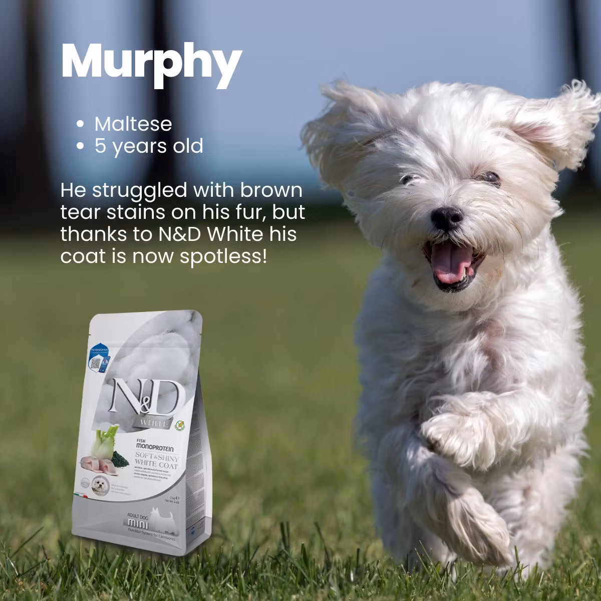 Farmina White Sea Bass Spirulina & Fennel Adult Med/Max 7 Kg