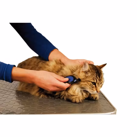 Mat Splitter Dematting Comb, ShowTech