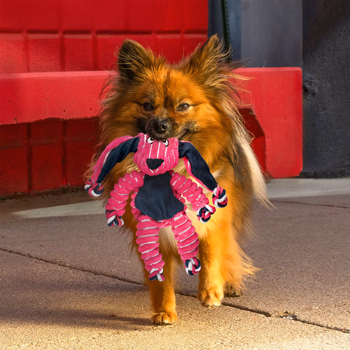 KONG Floppy Knots Bunny S/M