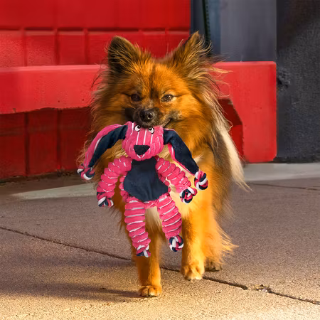 KONG Floppy Knots Bunny S/M