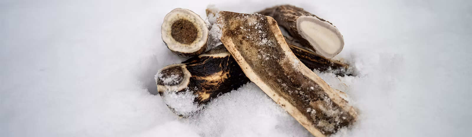 Farm Food Antlers Hjorte Gevir Tilbud 40%