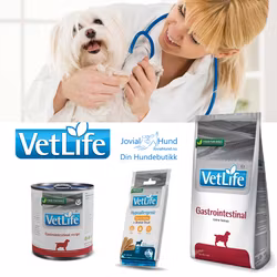 Farmina Dog Vet Life Gastrointestinal 2 Kg