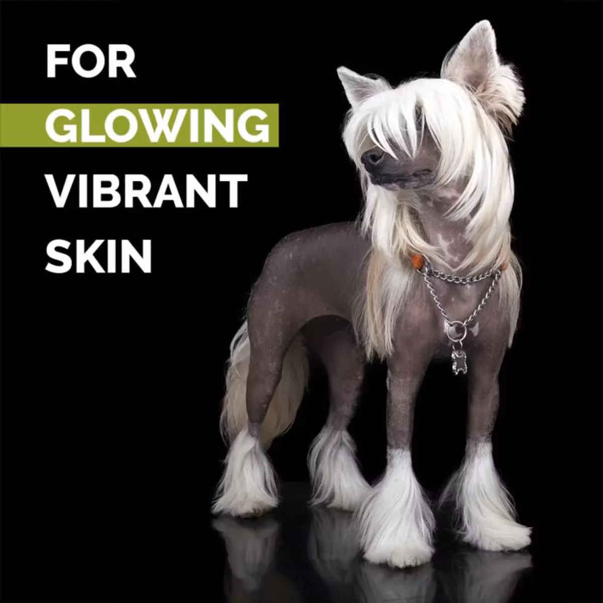 Skinsational Pet Scrub 200 ml, ShowTech - Bestillingsvare