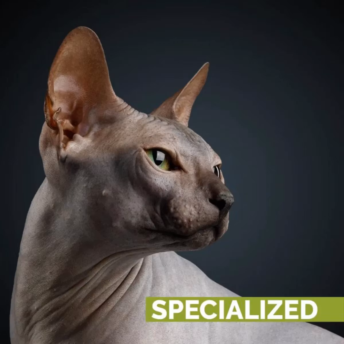 Skinsational Pet Scrub 200 ml, ShowTech - Bestillingsvare