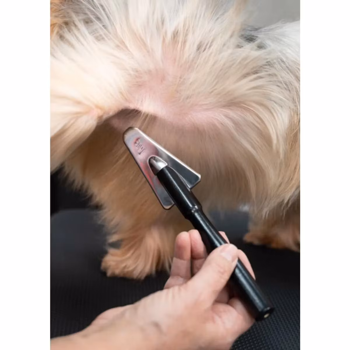 Show Coat Slicker with Extra Long Handle - Triangular, Yento