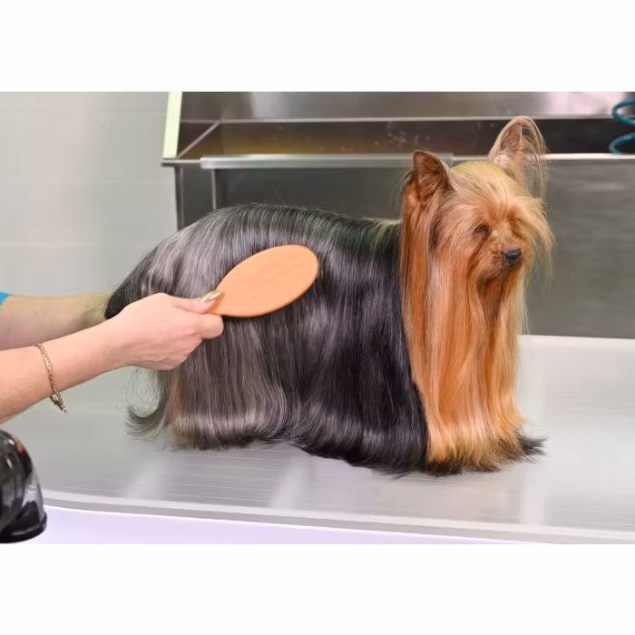 Yento 60-60 Pin Brush