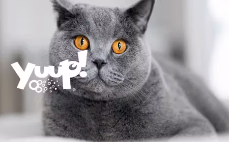 Yuup! Pro Degreasing Shampoo For Cats