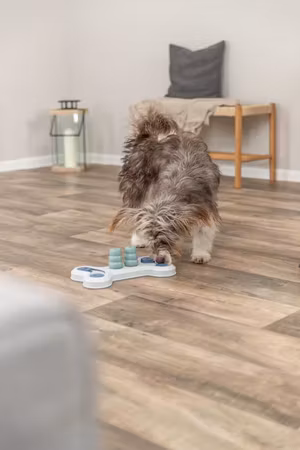 Dog Activity Flip Bone 32x18cm Level 1