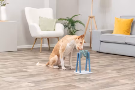 Dog Activity Turn Around 22x18x33cm Level 2