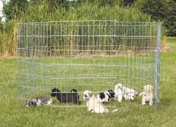 Valpegård 90x60cm 8 Elementer