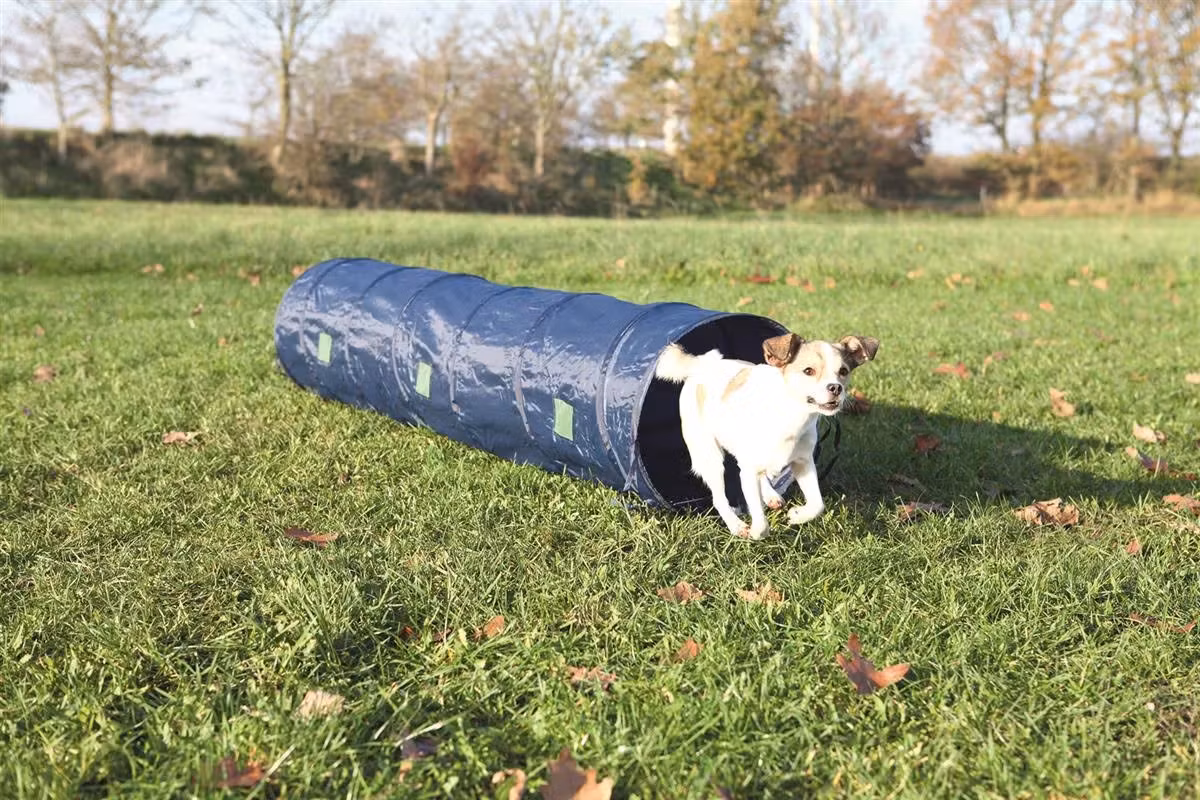 Agility Tunnel 2m / 40cm Mørk Blå - For små hunder og valper