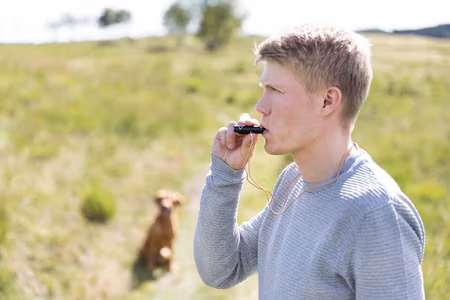 Hundefløyte Bøffelhorn 6 & 9 cm
