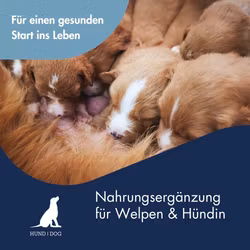 DC Puppy Milk+ 450g uten flaske