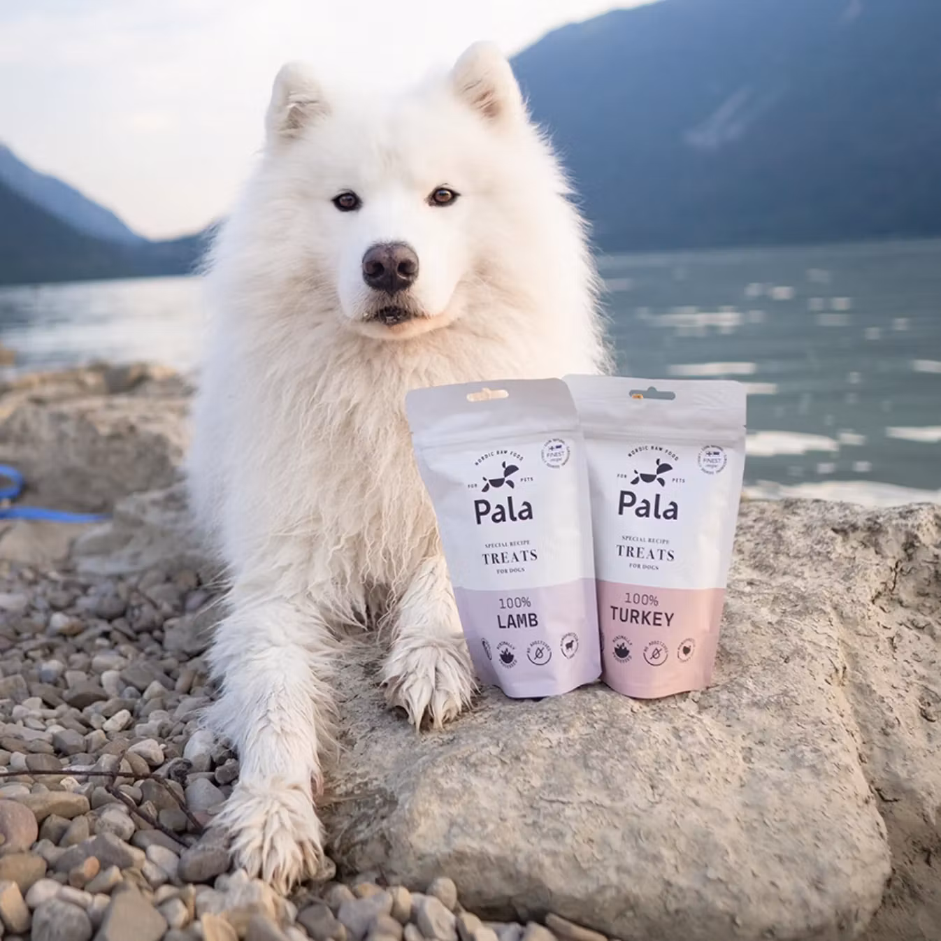 Pala Treats 100% Turkey 100g