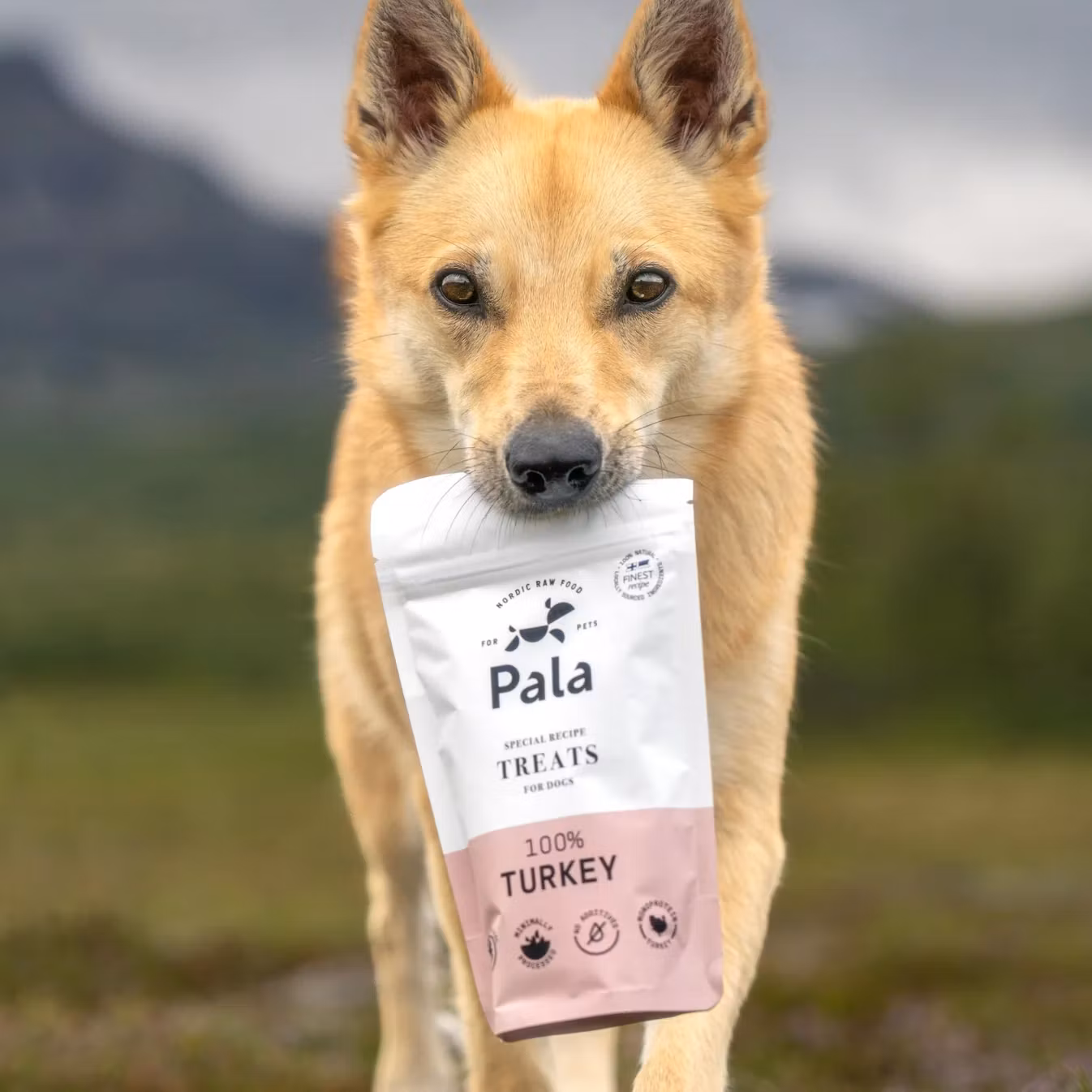 Pala Treats 100% Turkey 100g