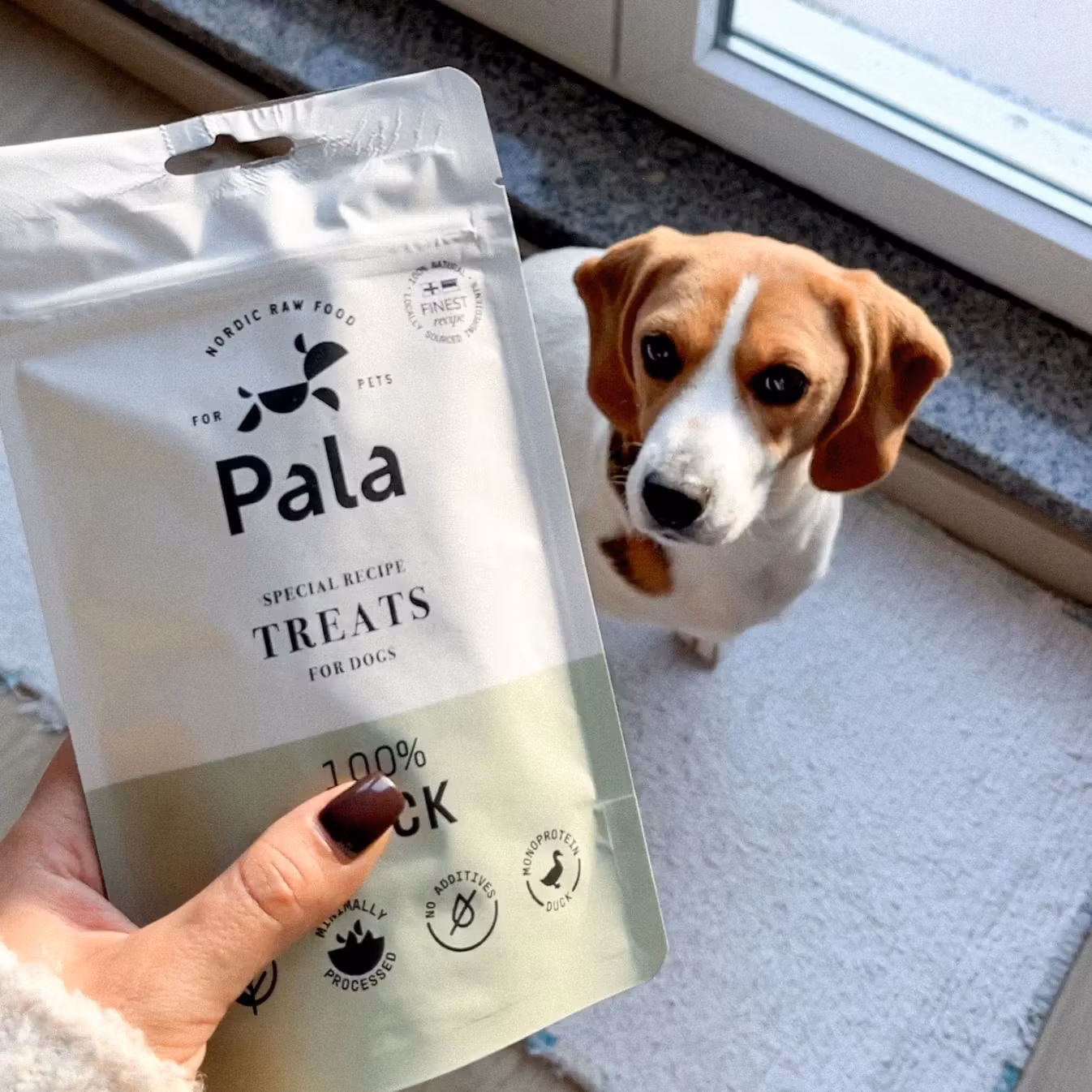 Pala Treats 100% And 100g
