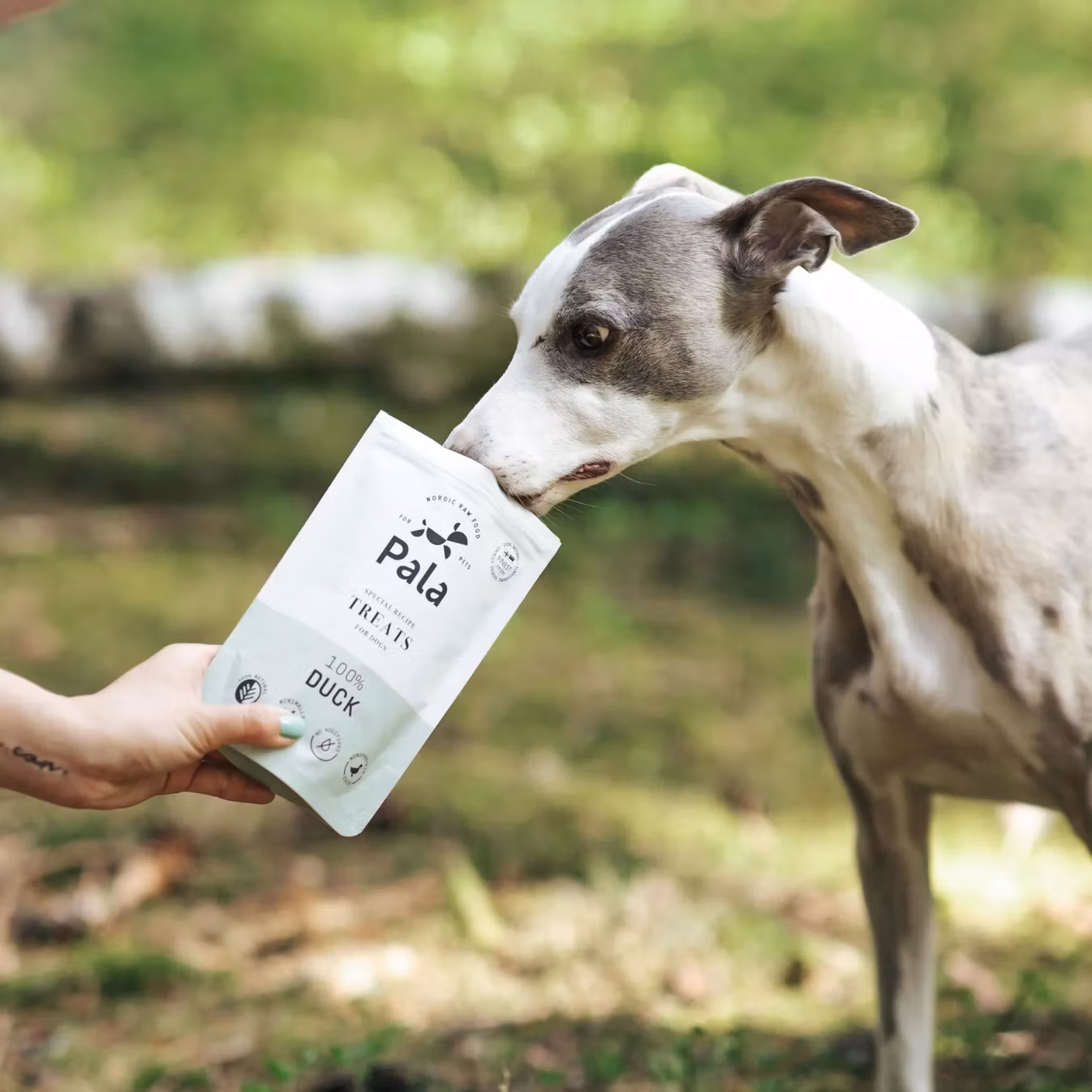 Pala Treats 100% And 100g