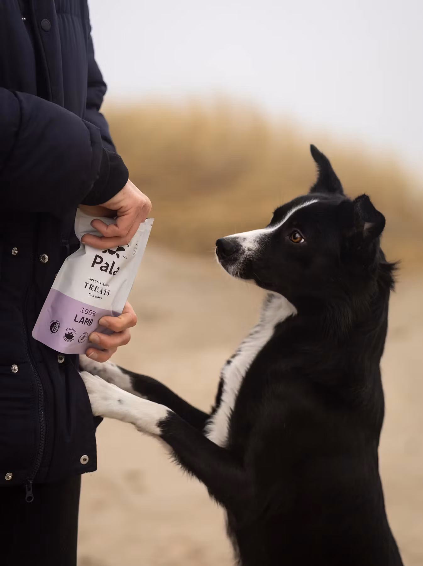 Pala Treats 100% Lam 100g