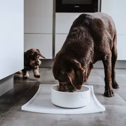 Osby Ceramic Bowl White 350ml, 550ml, 1100ml & 1900ml