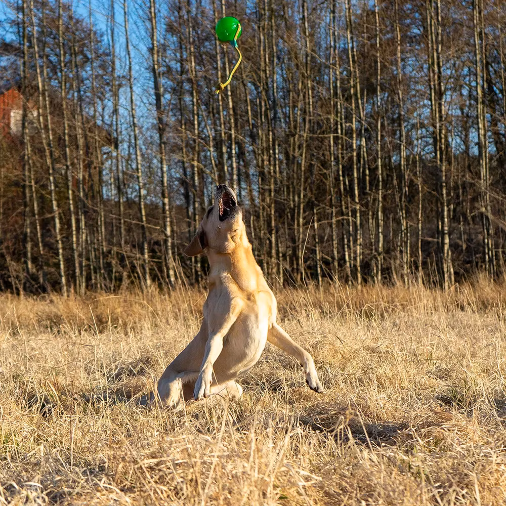 Starmark Swing ‘n Fling Chew BALL M 8,25 cm