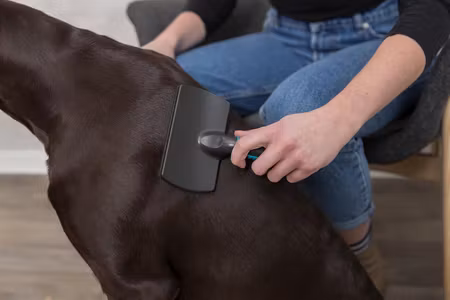 Trixie Karre - Soft Brush - Blue