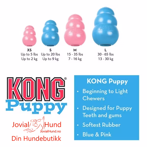 KONG Puppy