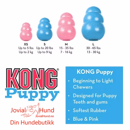 KONG Puppy