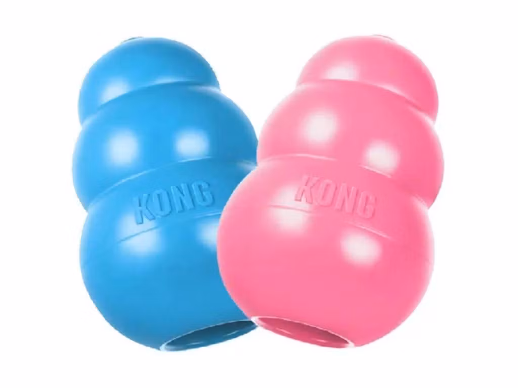 KONG Puppy