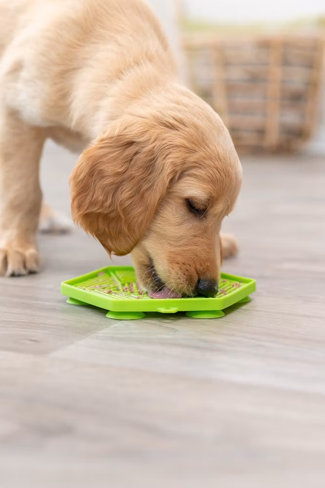 Trixie Lick`n`Snack Matte Silikon 17cm - Slikkematte Assorterte Farger