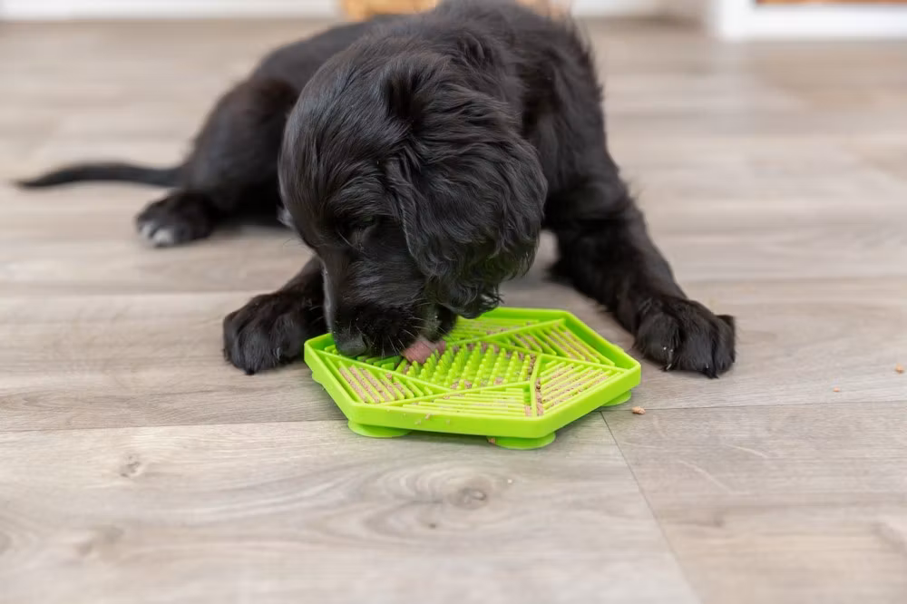 Trixie Lick`n`Snack Matte Silikon 17cm - Slikkematte Assorterte Farger