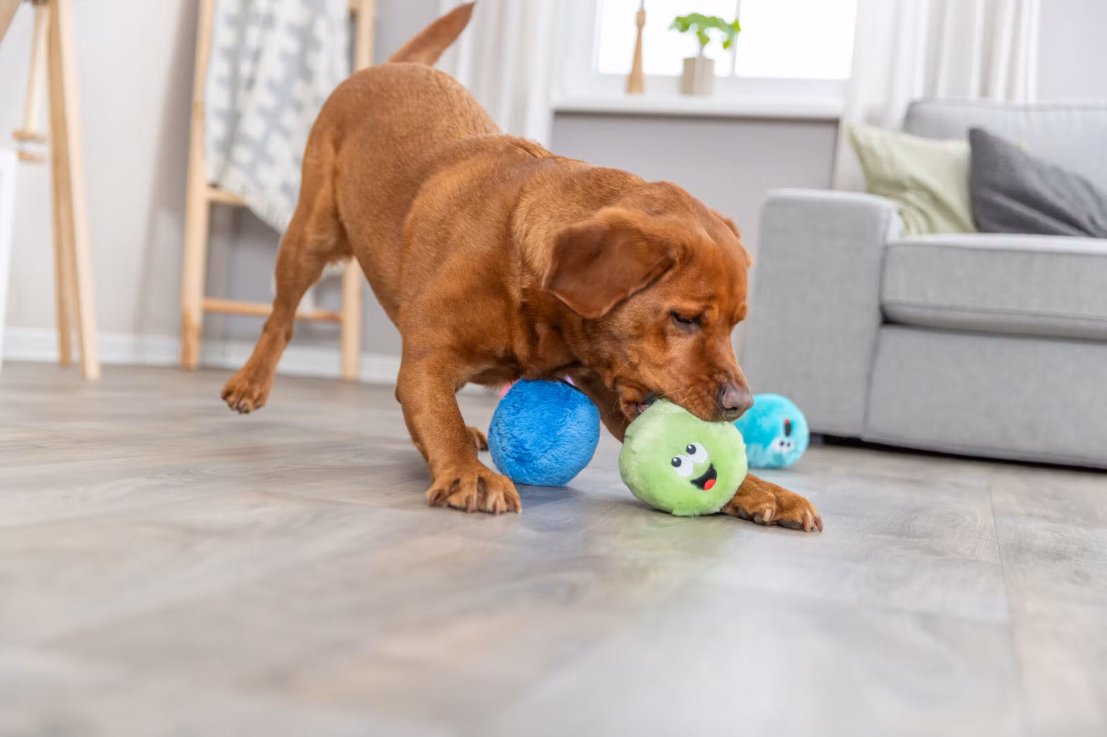 Baller i Plysj Ass. farger Ø10cm