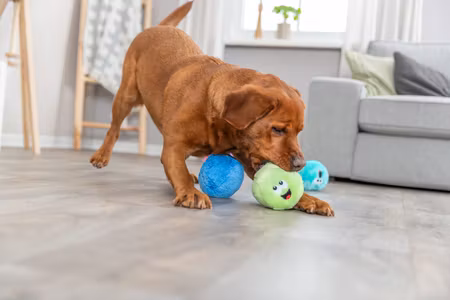 Baller i Plysj Ass. farger Ø10cm