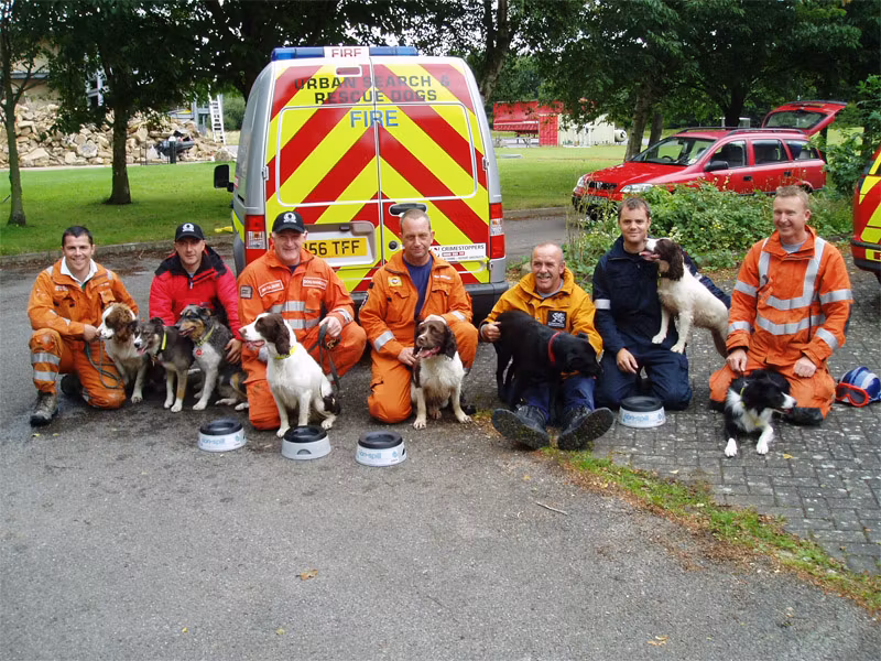 Road Refresher Vannskål Grå