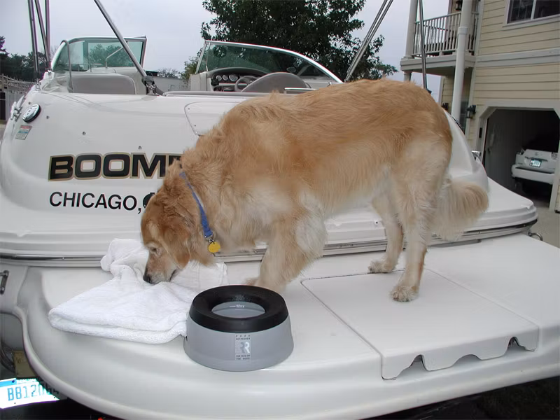 Road Refresher Vannskål Grå