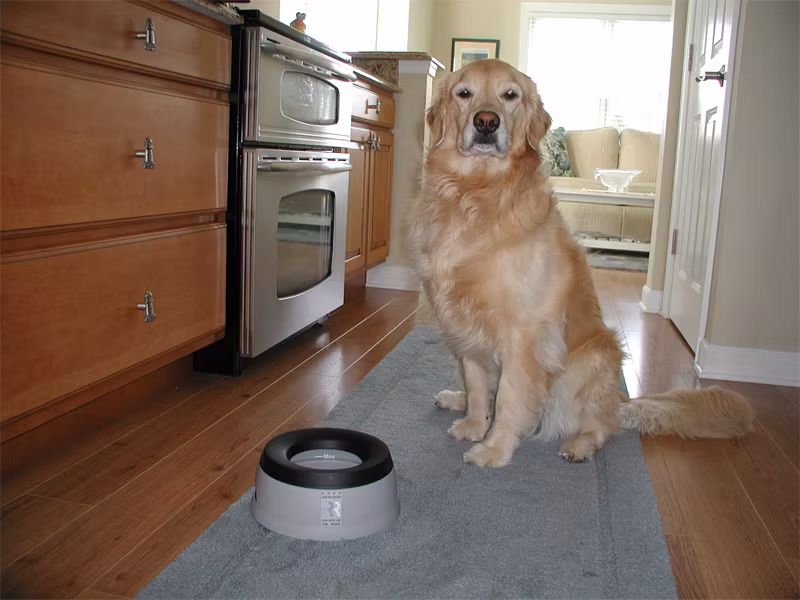 Road Refresher Vannskål Grå