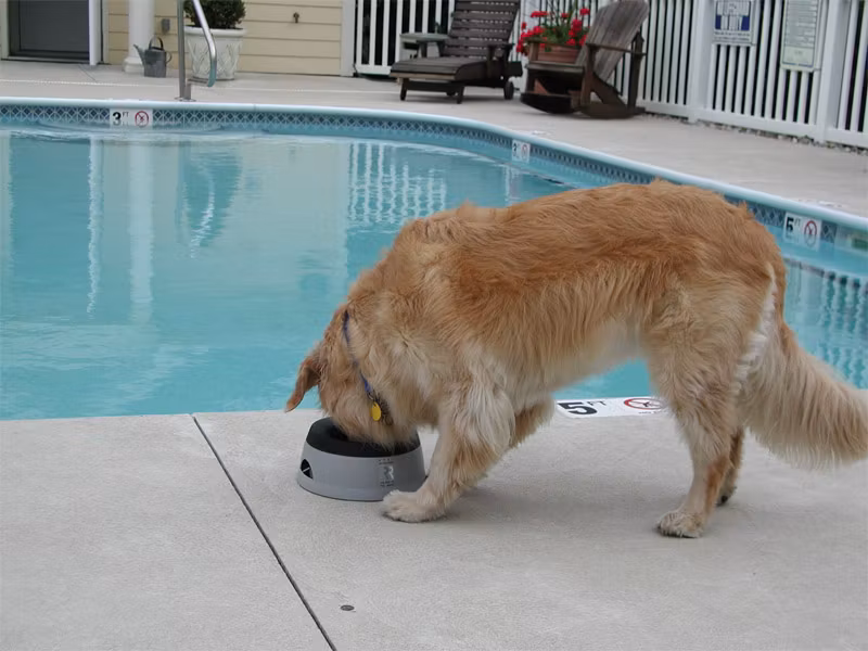 Road Refresher Vannskål Grå