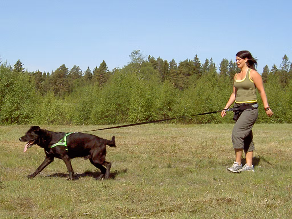 Baggen Kjørebelte Jakt/Villmark