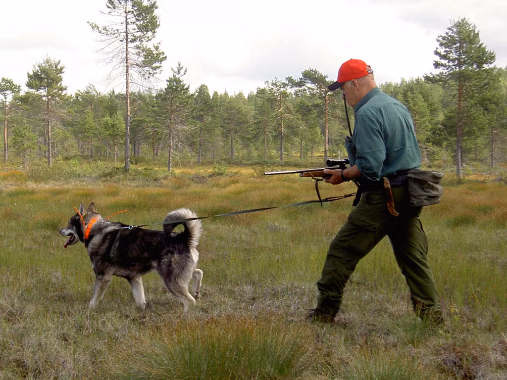 Baggen Kjørebelte Jakt/Villmark